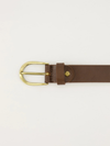 Dante belt brown | gold buckle