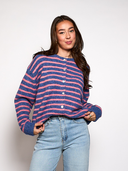 Vest Vive | Blue-pink striped | Tall