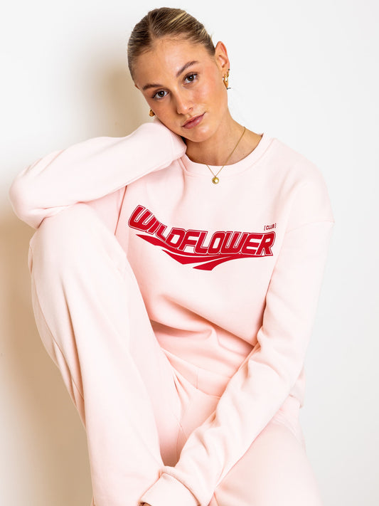 WLD sweater | Light pink | Tall