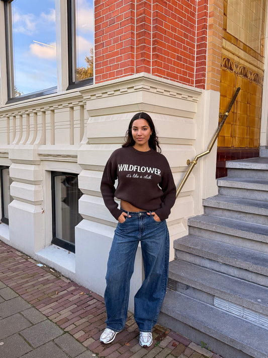 It's like a club | Knitted sweater | Dark brown | Tall